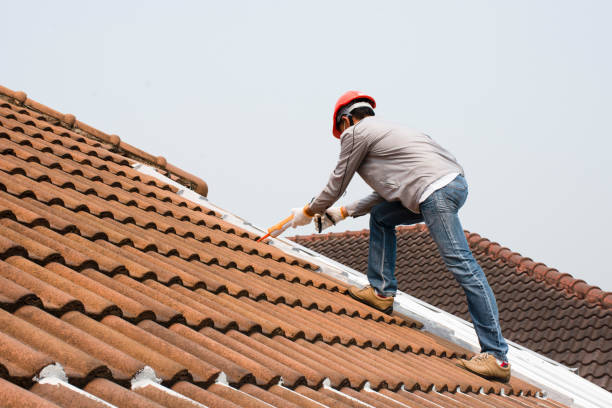 Best Solar Panel Roofing Installation  in Fords Prairie, WA